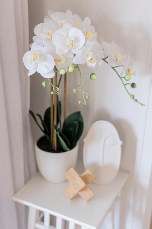 Studio 26: Central, Hampton'S Poolside Hideaway Coffs Harbour Exteriér fotografie